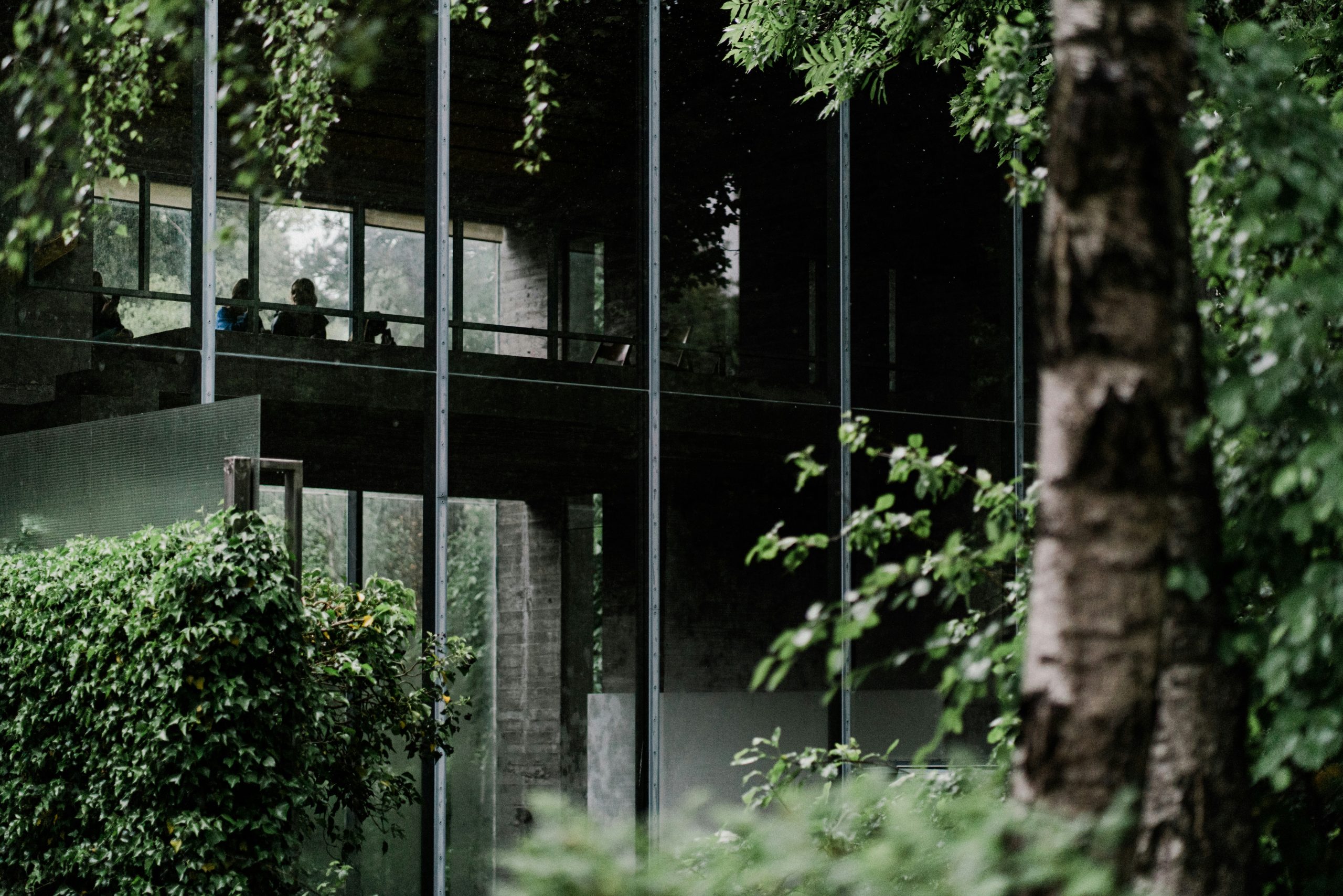 Upcoming projects marcel strauss 7iSvL068j8c unsplash scaled marcel strauss 7iSvL068j8c unsplash scaled